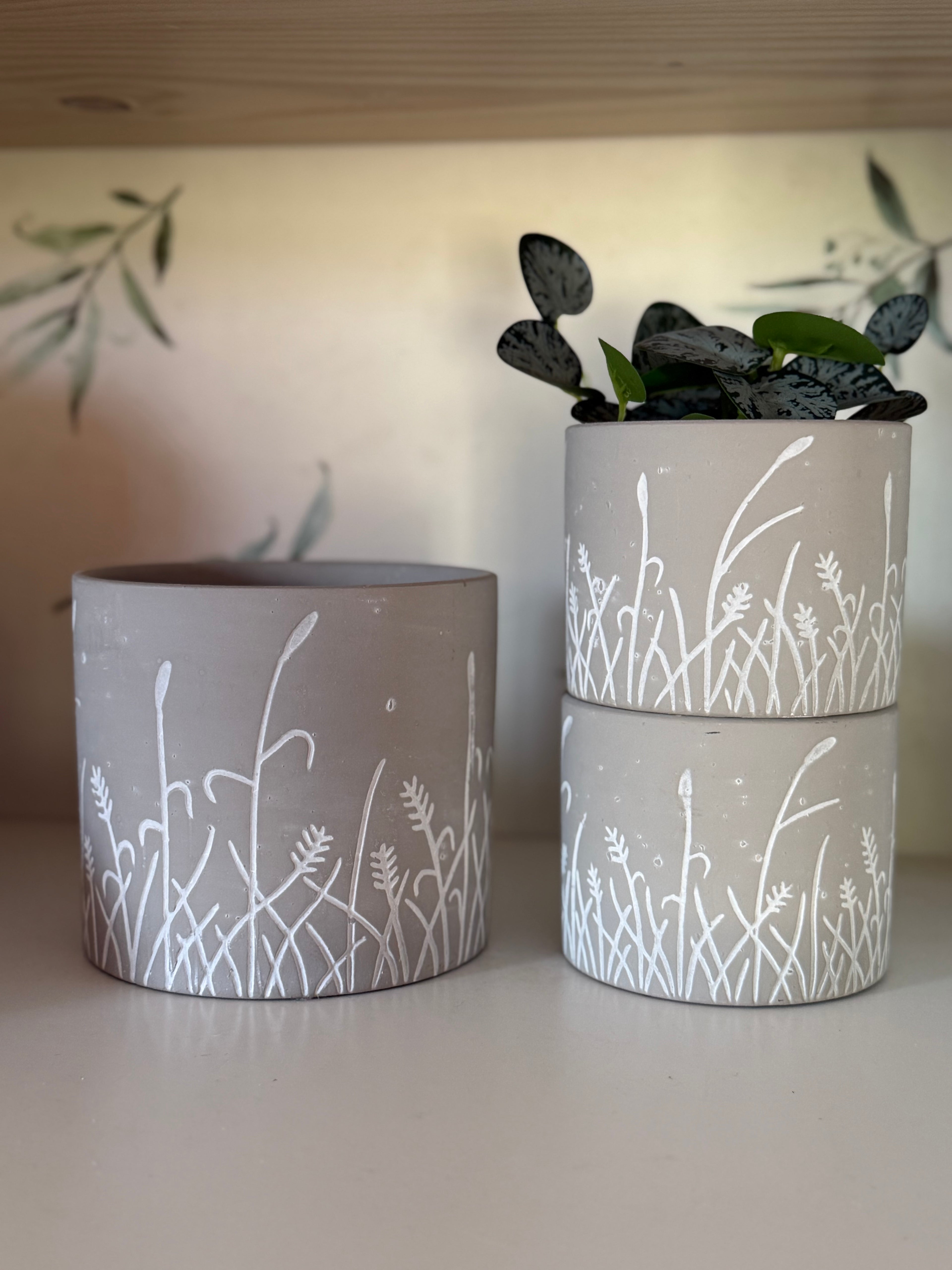 Large Plant pots