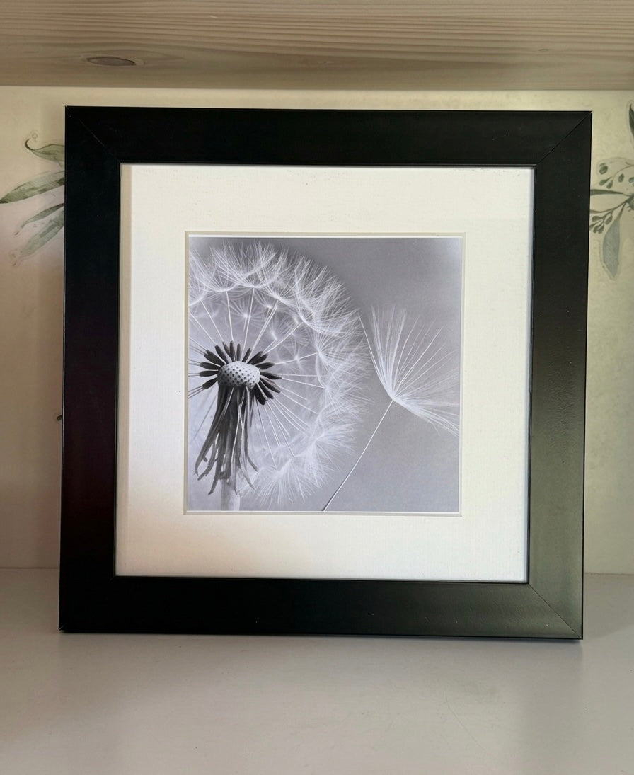 Black square frame