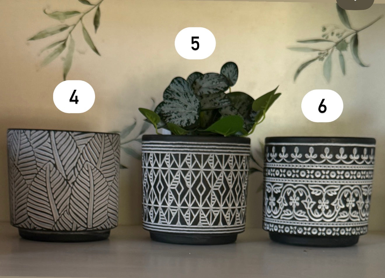 Medium plant pots