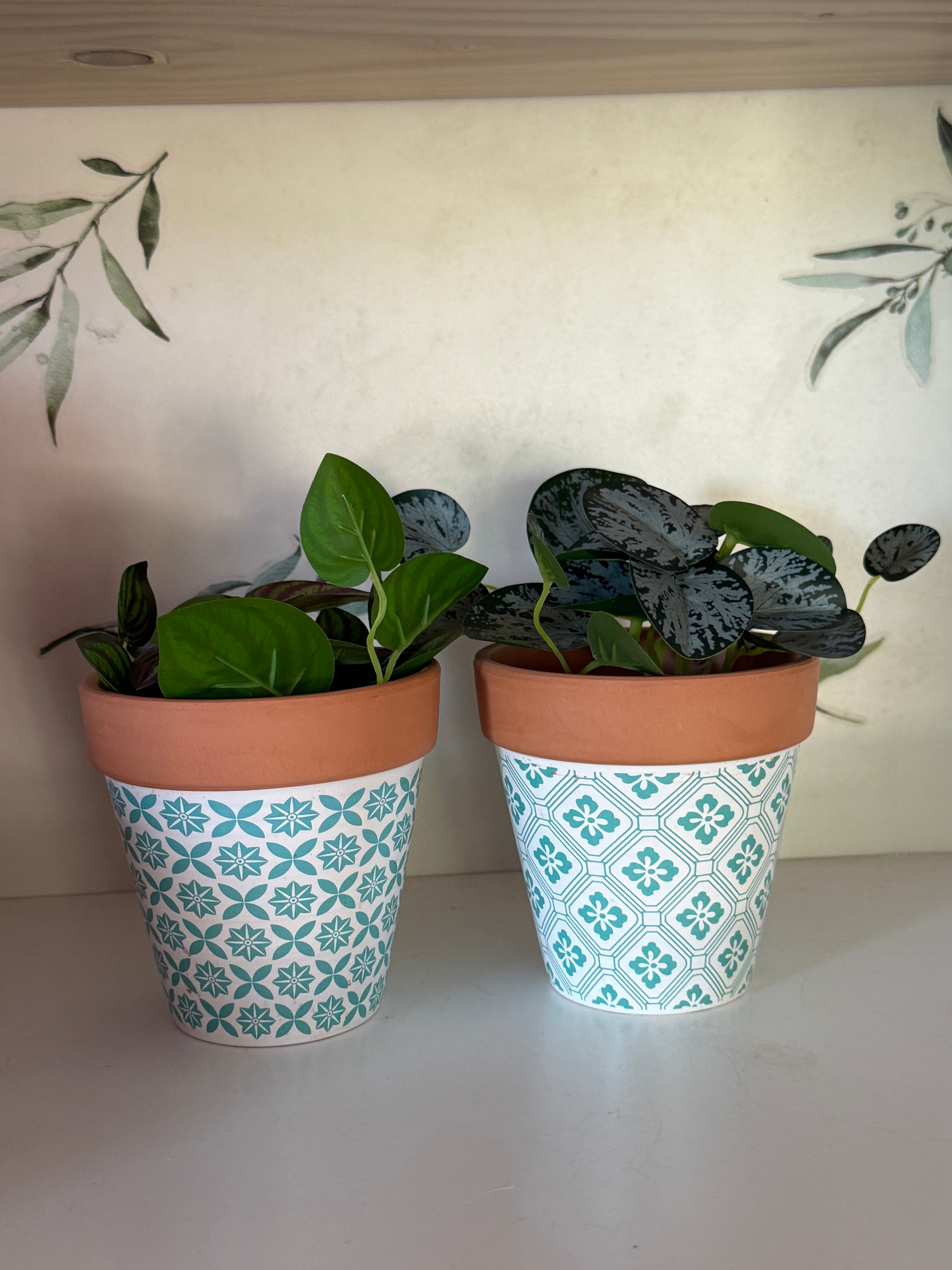 Small plant pots
