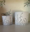 Small plant pots