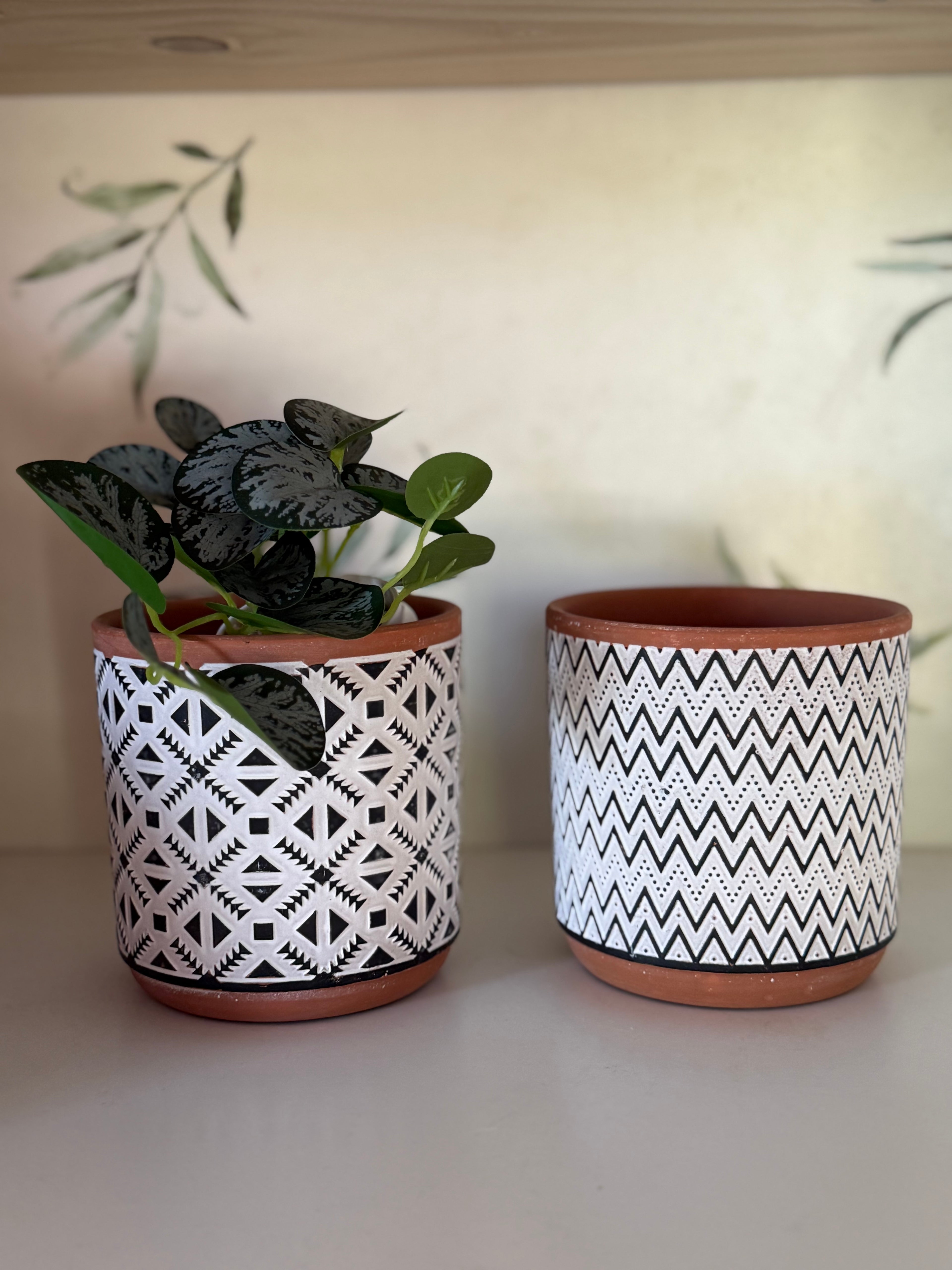 Medium plant pots