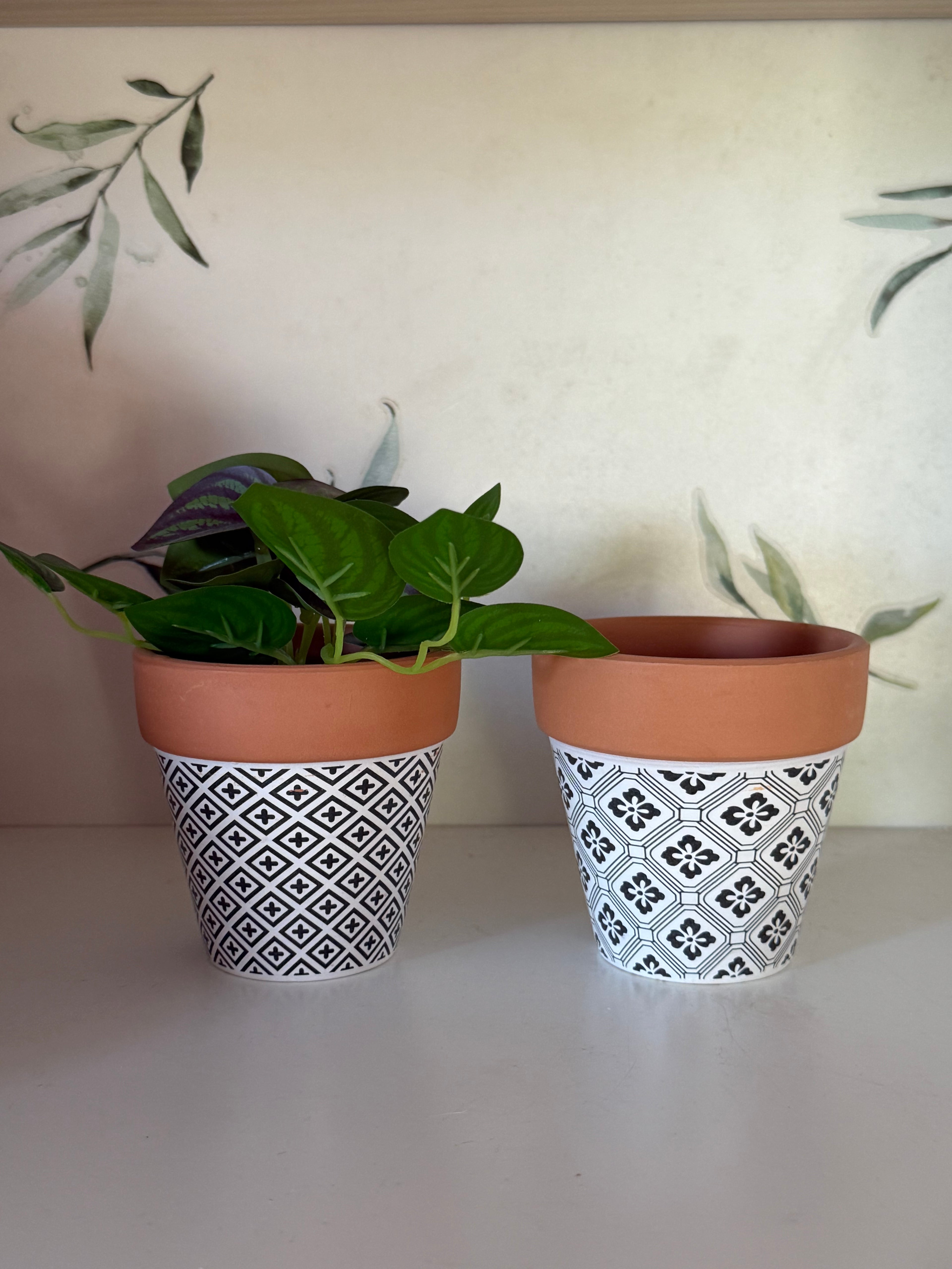 Small plant pots