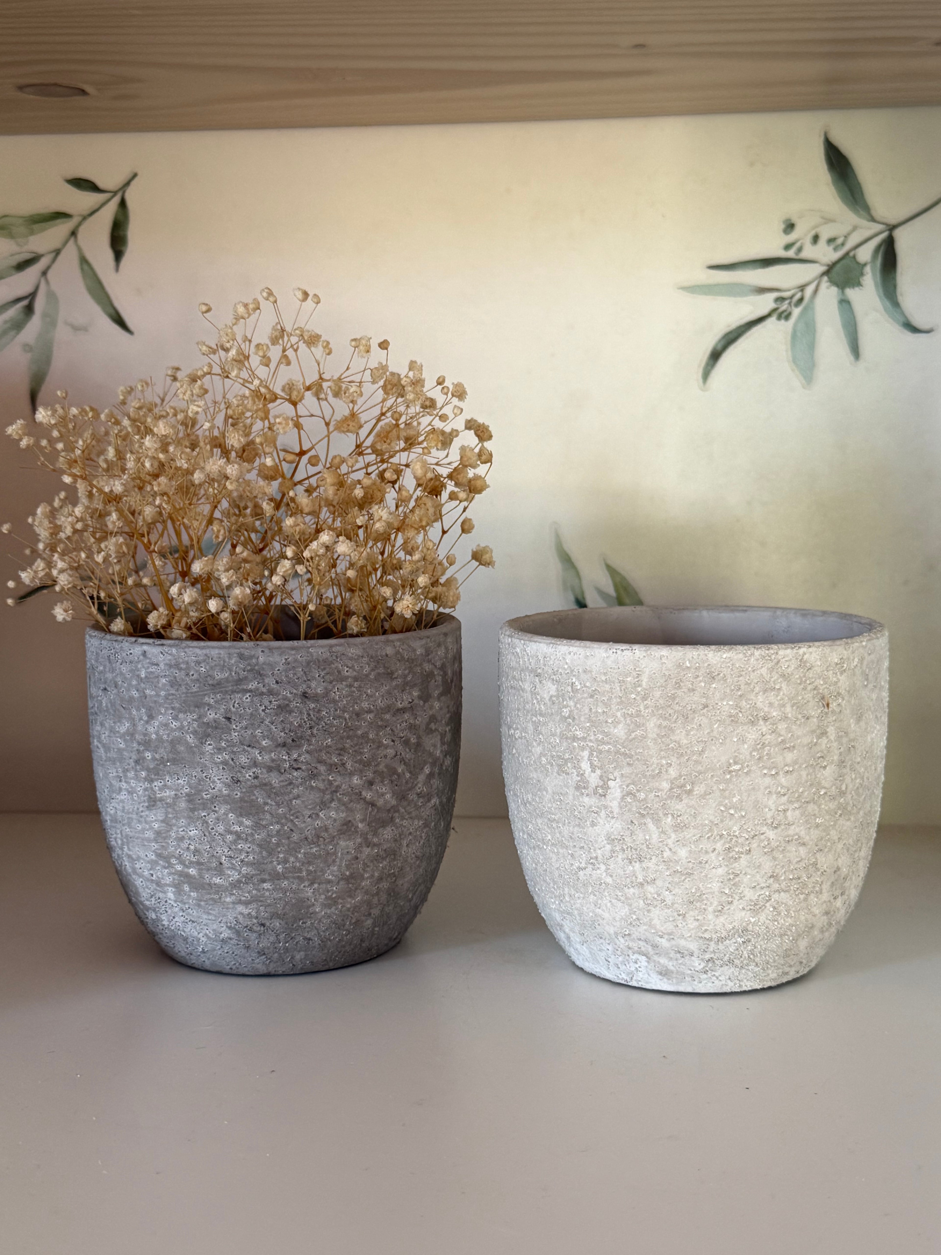 Large Plant pots