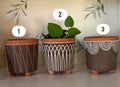 Medium plant pots